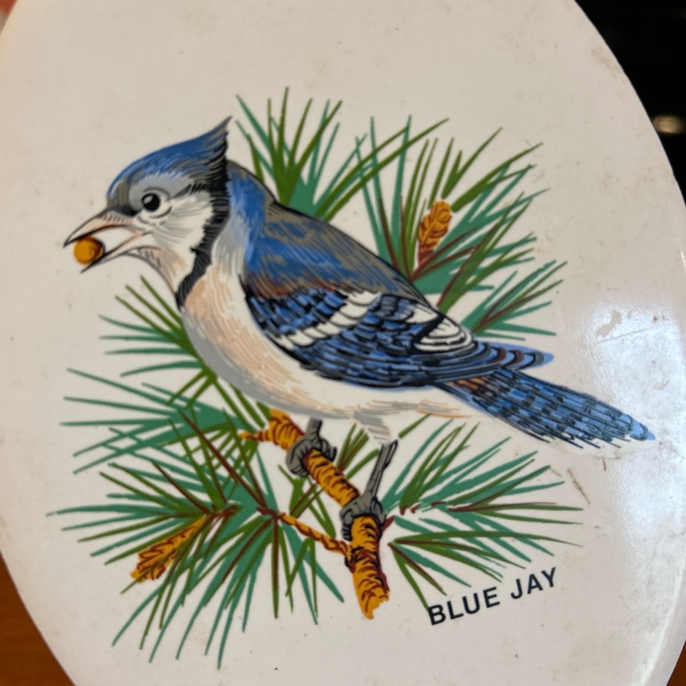Blue Jay hand painted Decorative Plate tile bird wall hanging decor